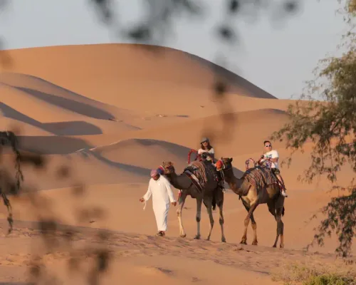 Abu Dhabi Morning Desert Safari Tour: Dune Bashing and Camel Riding | Dubai